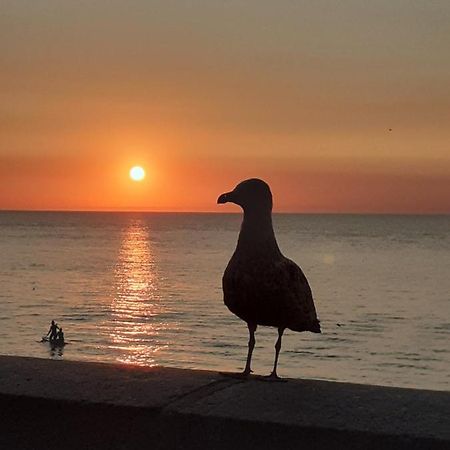 Camping Les Falaises De Toussaint ภายนอก รูปภาพ