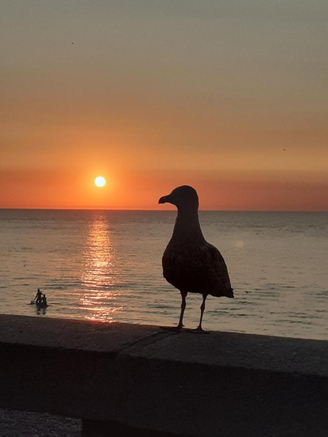 Camping Les Falaises De Toussaint ภายนอก รูปภาพ