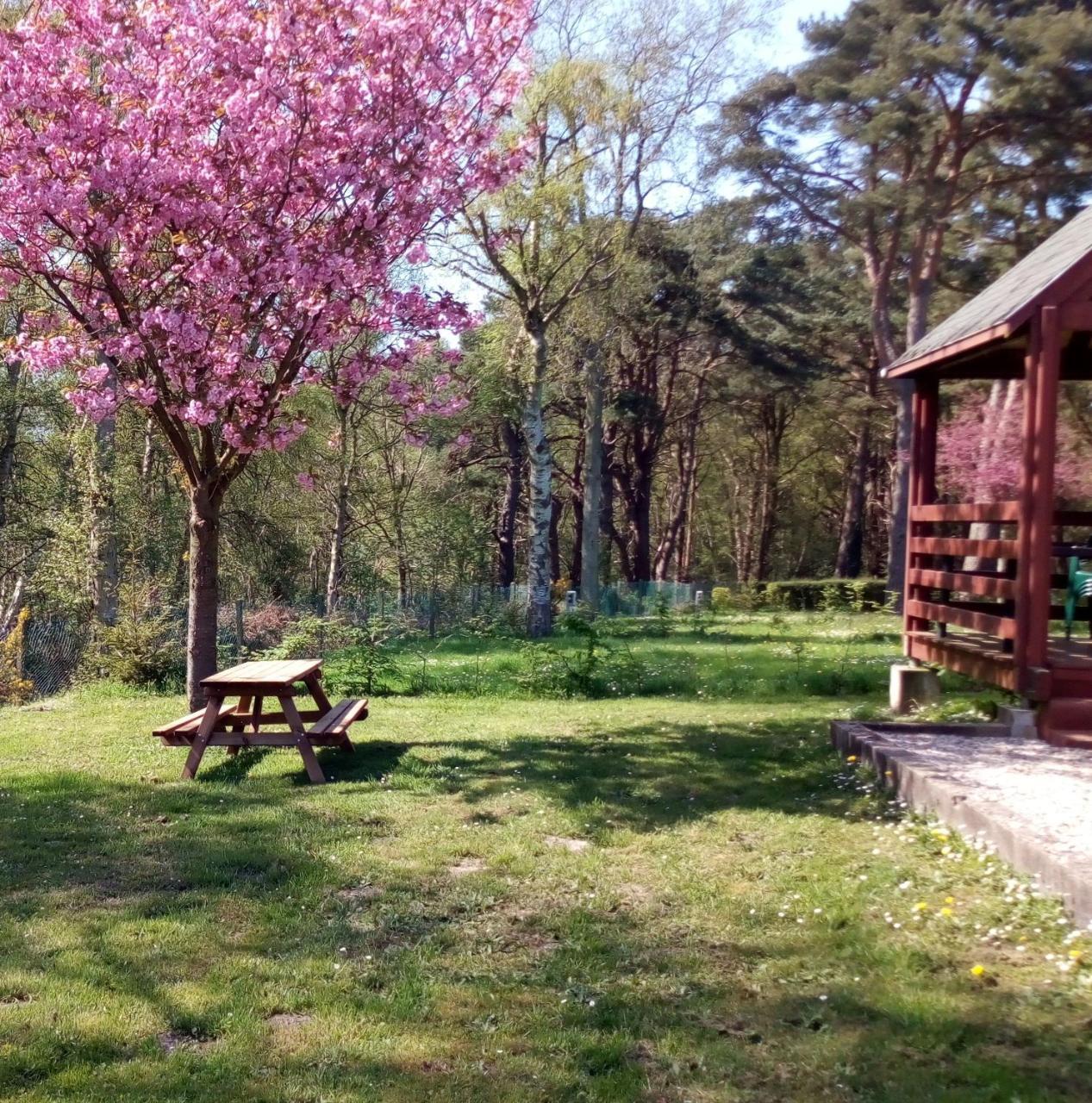 Camping Les Falaises De Toussaint ภายนอก รูปภาพ
